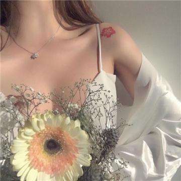 我的世界贝爷mod手机版下载